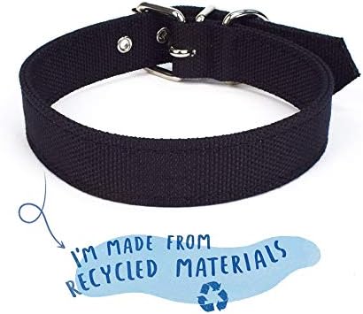 Project Blu Collar Ecológico de Material Reciclado